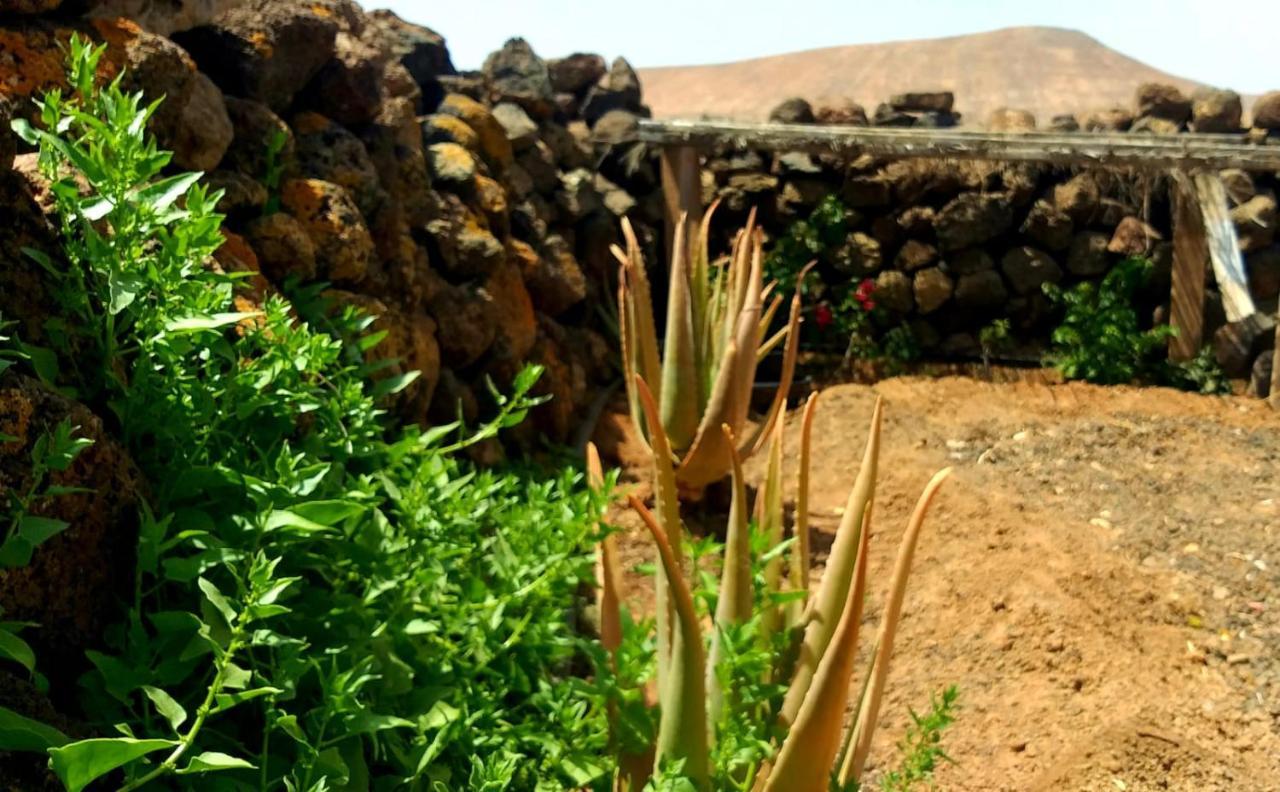 لا أوليفا Glamping Corner - Back To Nature المظهر الخارجي الصورة